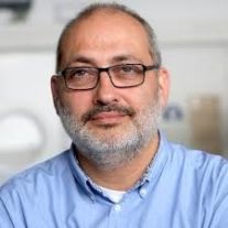 lluis marsail lluis marsail
